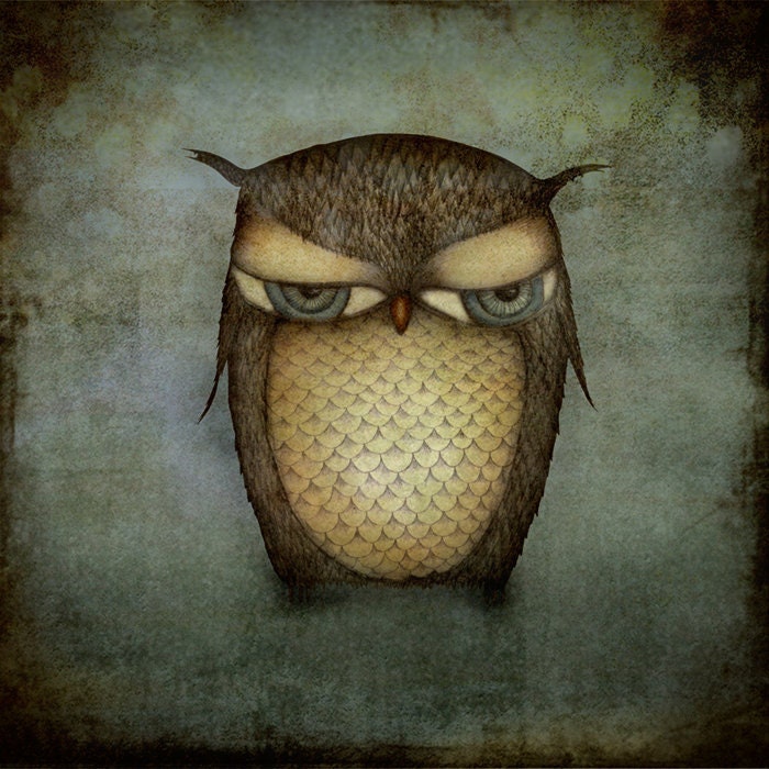 The Owl