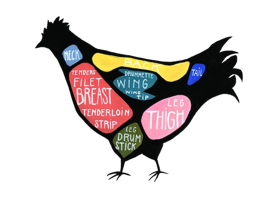 Detailed Chicken Butcher Diagram - "Use Every Part of the Chicken" cuts of chicken poster