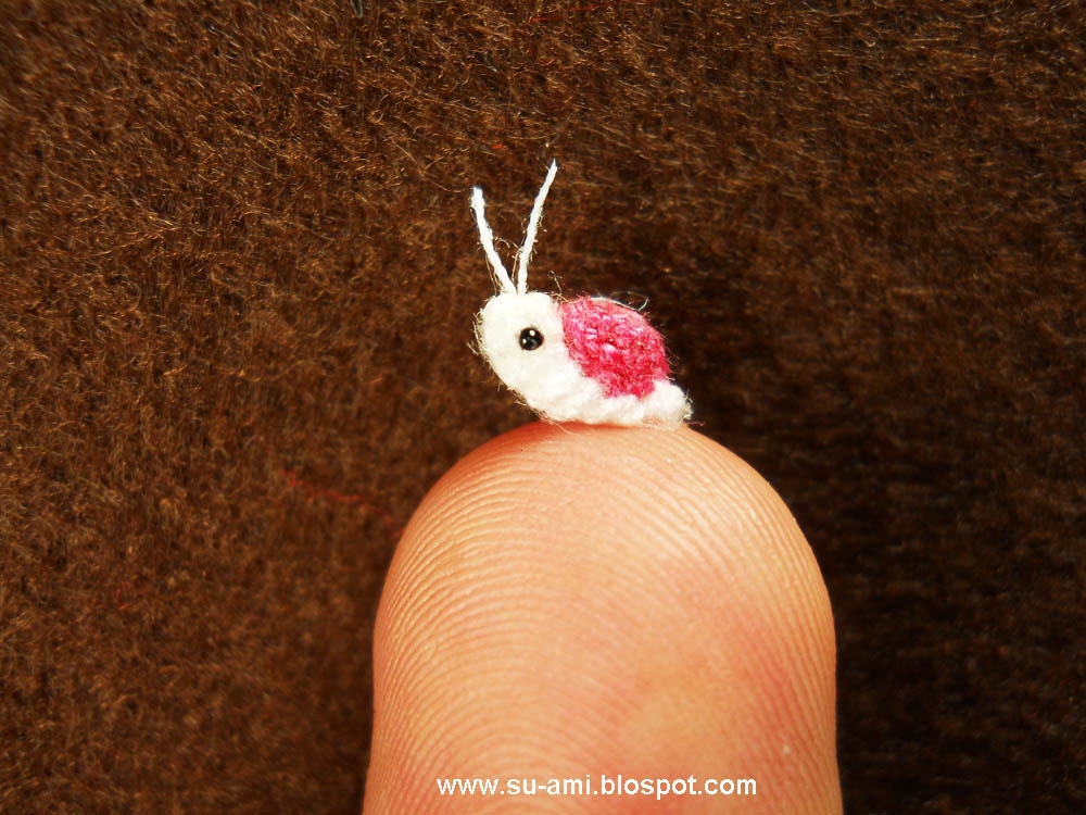 Teeny Snail