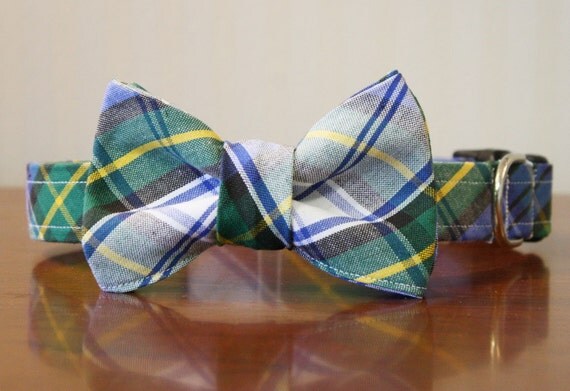 Dog Collar - Pup Academy Plaid Dog Bowtie