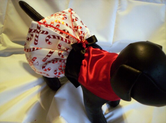 Christmas Holiday Satin Candy Cane Satin Dog Dress