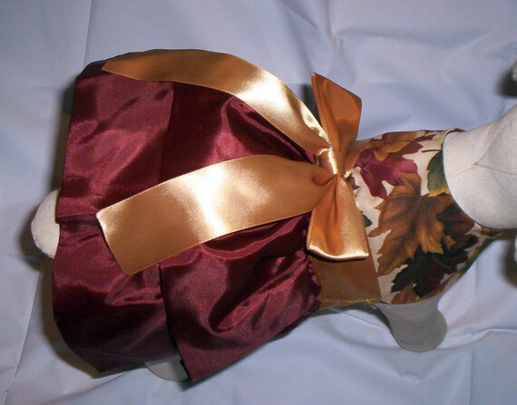 Autumn Elegance Dog Dress