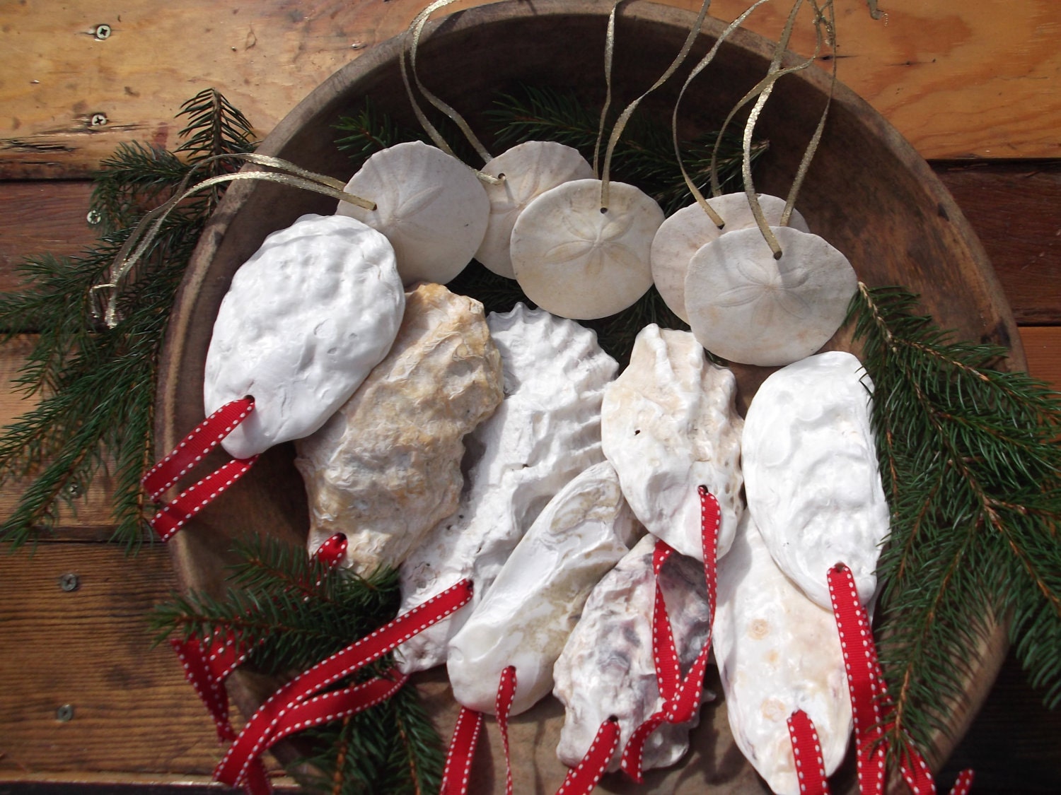 Sand Dollar and Oyster Shell Ornaments