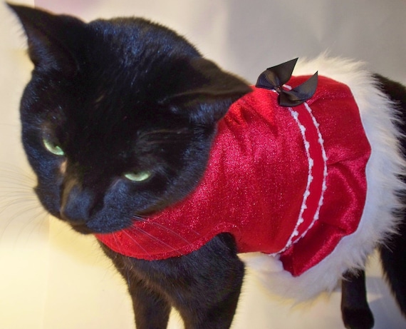 red velvet and fur christmas cat costume
