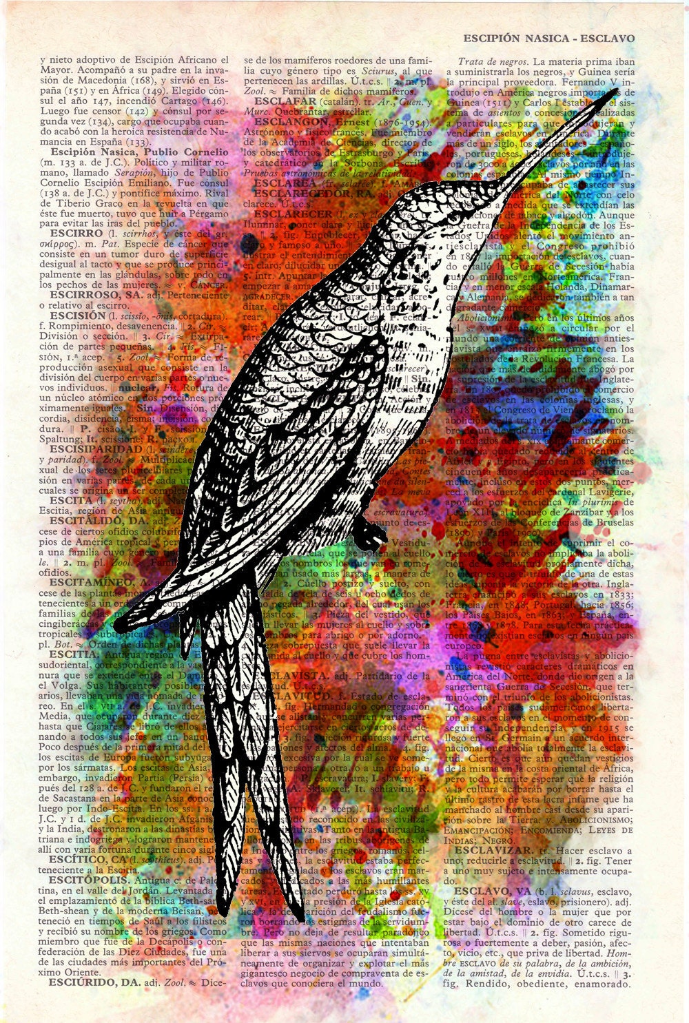 Hummingbird Collage Print on Vintage Dictionary Book altered art dictionary page illustration book print art