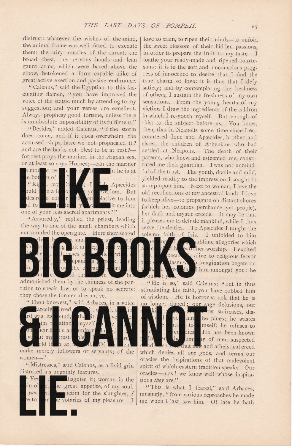 dictionary art vintage I Like BIG BOOKS and I Cannot LIE print - vintage art book page print - black friday cyber monday free shipping etsy