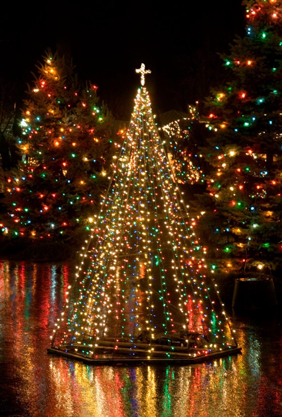 Lighted Outdoor Christmas Trees scene great for Holiday cards