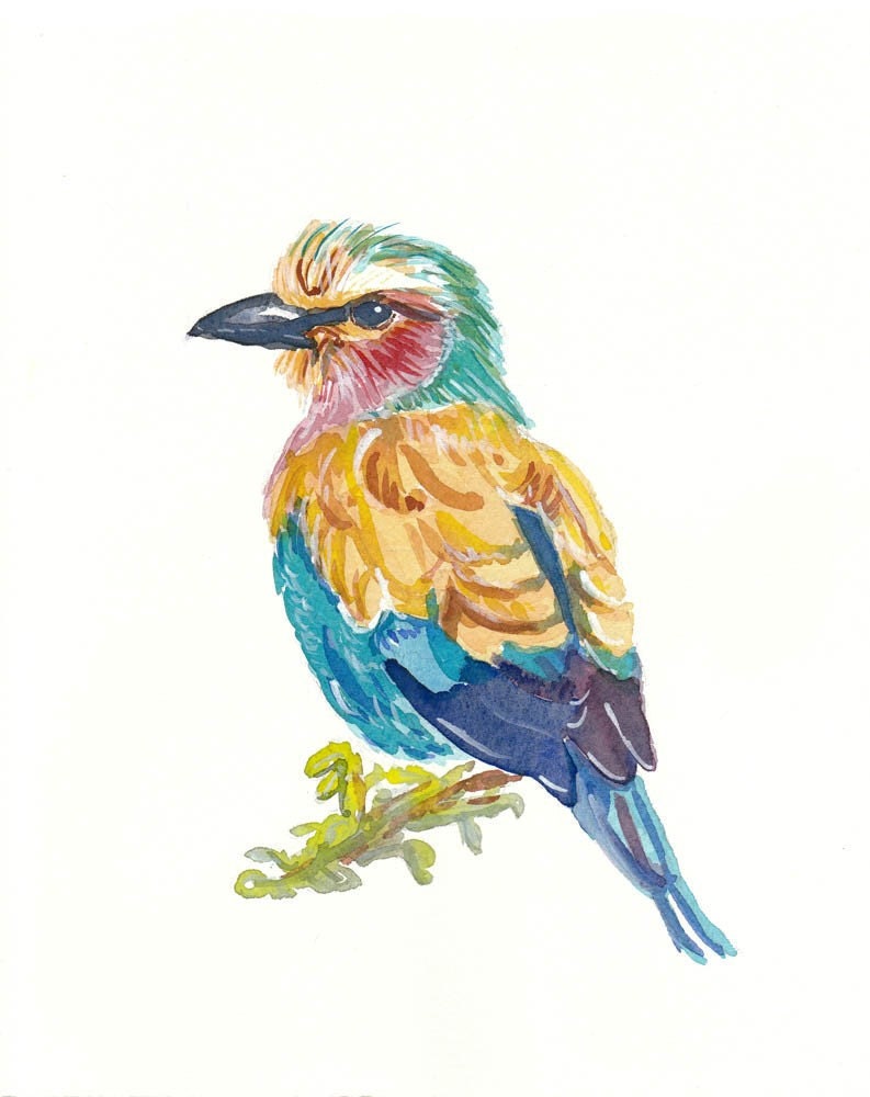SALE - Original Bird Watercolor - Lilac-Breasted Roller, Bird Illustration, Animal Art
