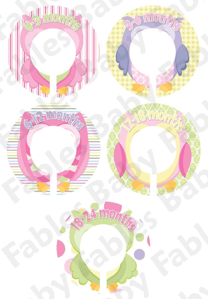 Boutique Style Custom Clothing Dividers - Girl Owlies