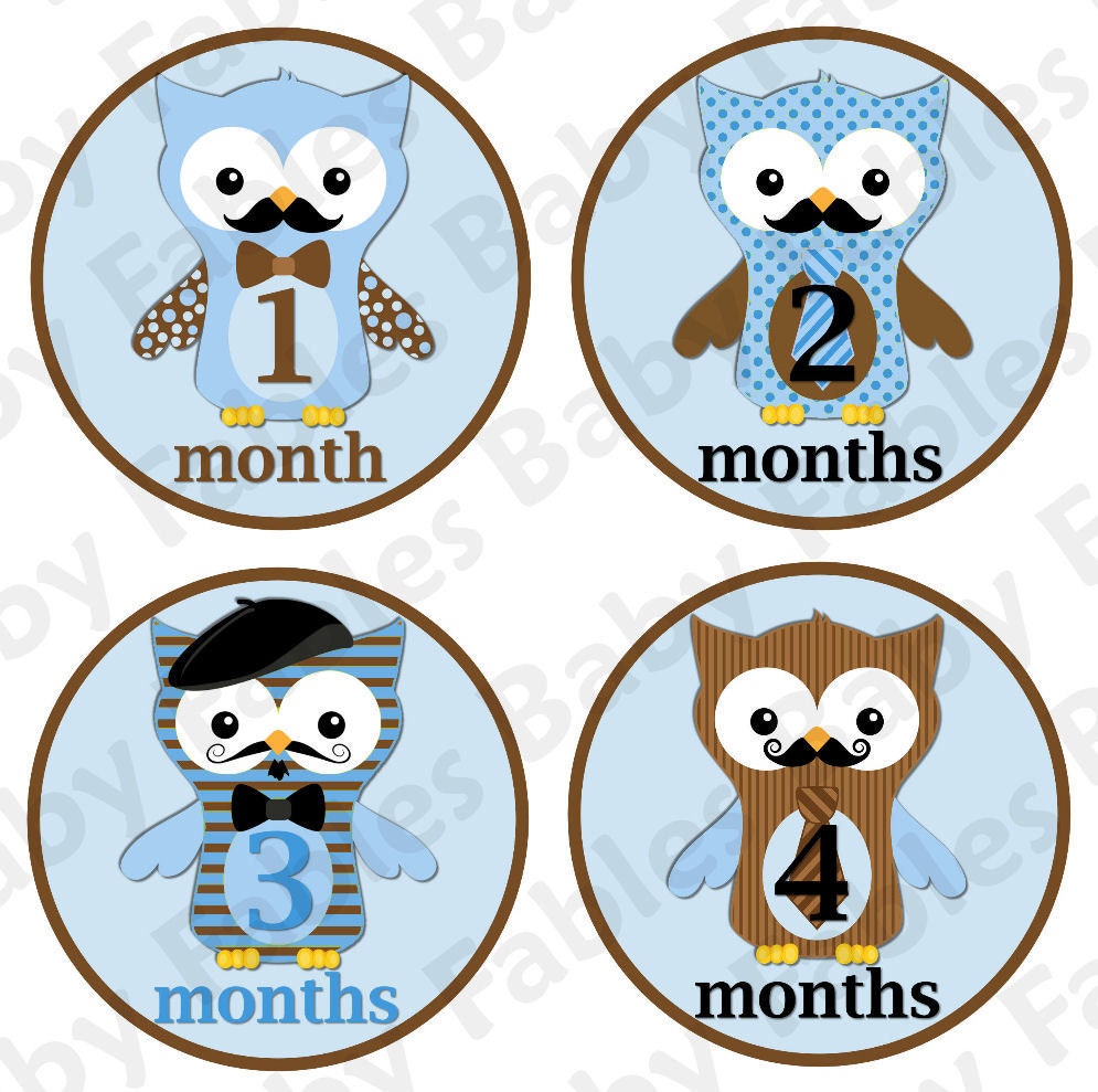 Monthly Baby Onesie Stickers - Little Owl Dudes NEW and SUPER CUTE
