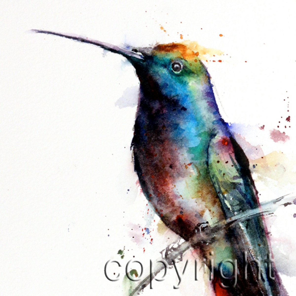 HUMMINGBIRD Watercolor Print by Dean Crouser