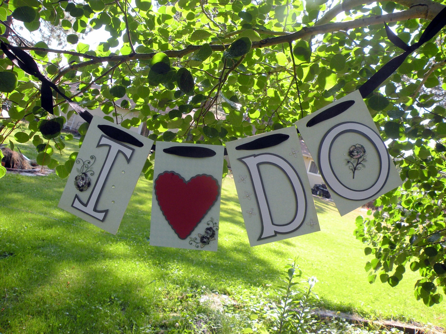 KDragonfly Designs