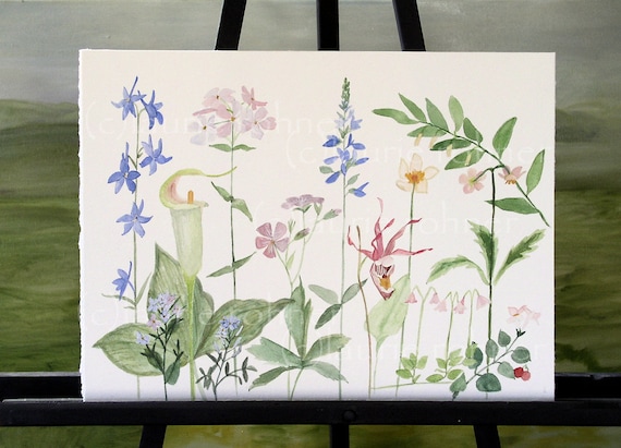 Watercolor Rendering Etsy BetweenTheWeeds Original Watercolor Painting Illustration of Woodland Flowers