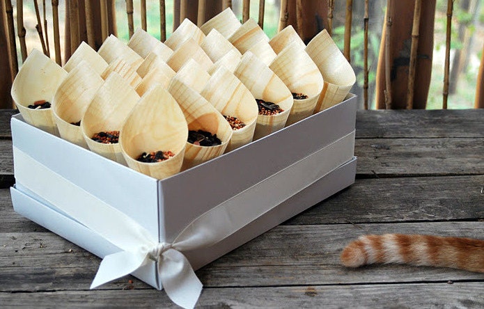 48 Elegant, affordable toss cones for your special occasion