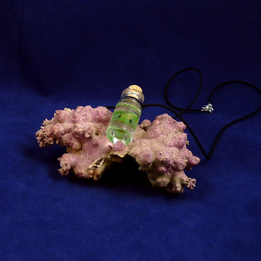 Tadpole Specimen Jar Necklace  - Handmade Jewelry
