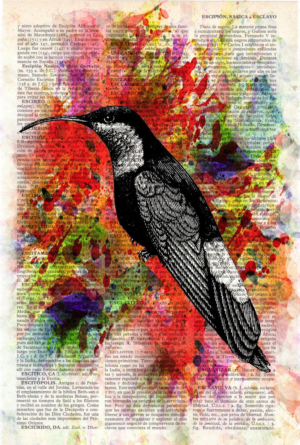 Hummingbird Collage II Print on Vintage Dictionary Book altered art dictionary page illustration book print art