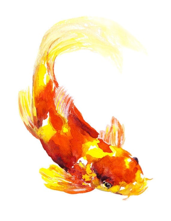 Orange & Yellow Koi Fish watercolor signed print