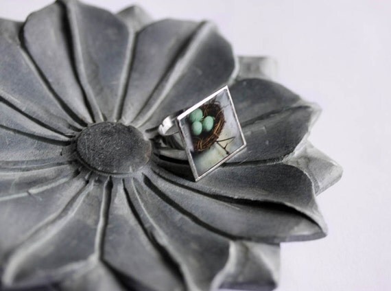 Ode to Spring 15% OFF Robin Egg Ring - Large Cocktail Ring - Photo Jewelry - A Place to Call Home  - original photography