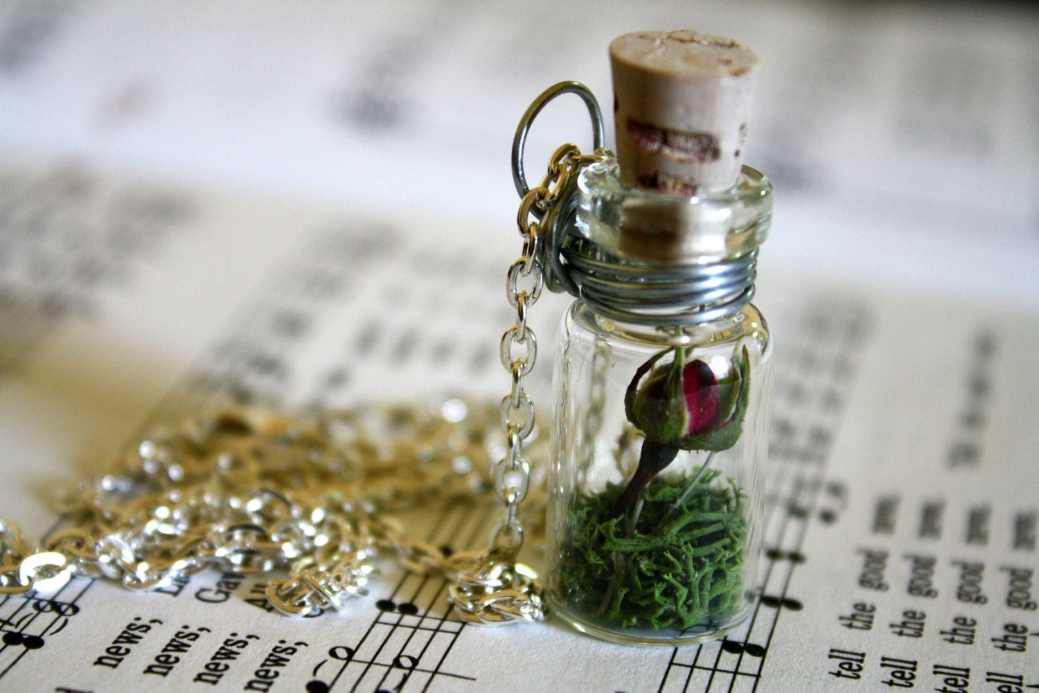 A Rose Yet To Bloom glass bottle necklace : tiny red rose and wildflower scene OOAK
