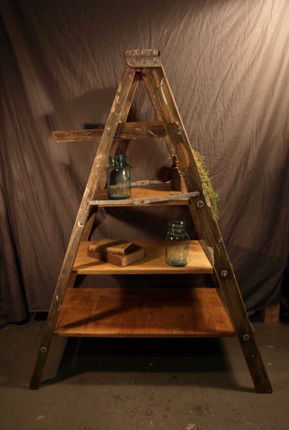 Pintura Librero Ladder