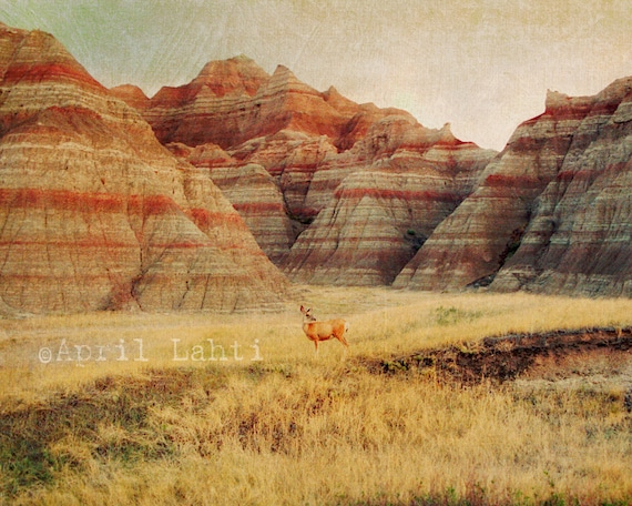 Badlands Landscape with Deer - Fine Art Photograph