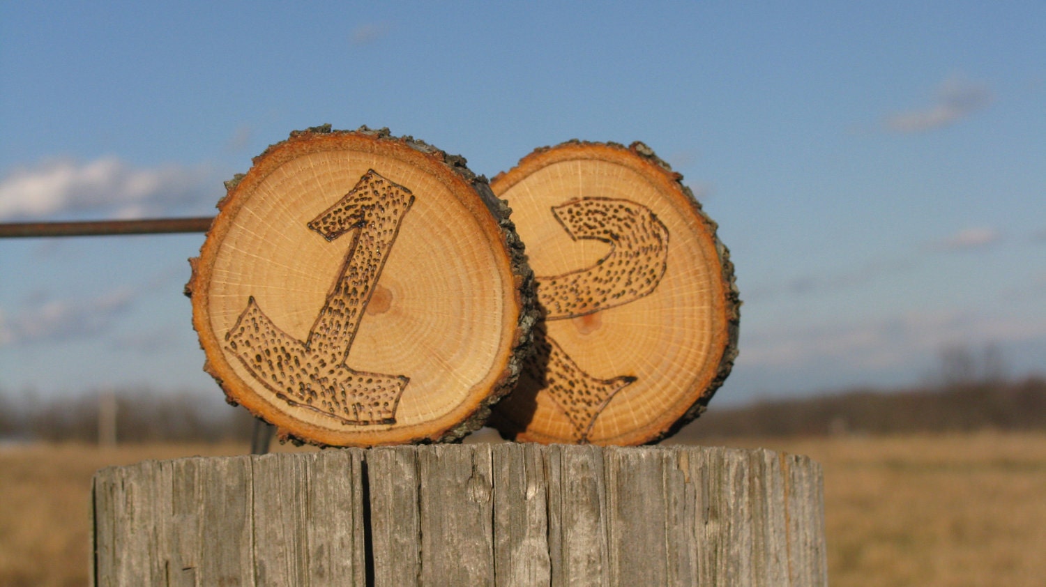 Woodland/Rustic Table Numbers