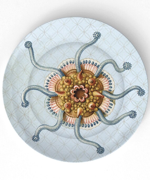 Sea  anemone I - 1800s Ernst Haeckel - 10 inch Melamine Plate
