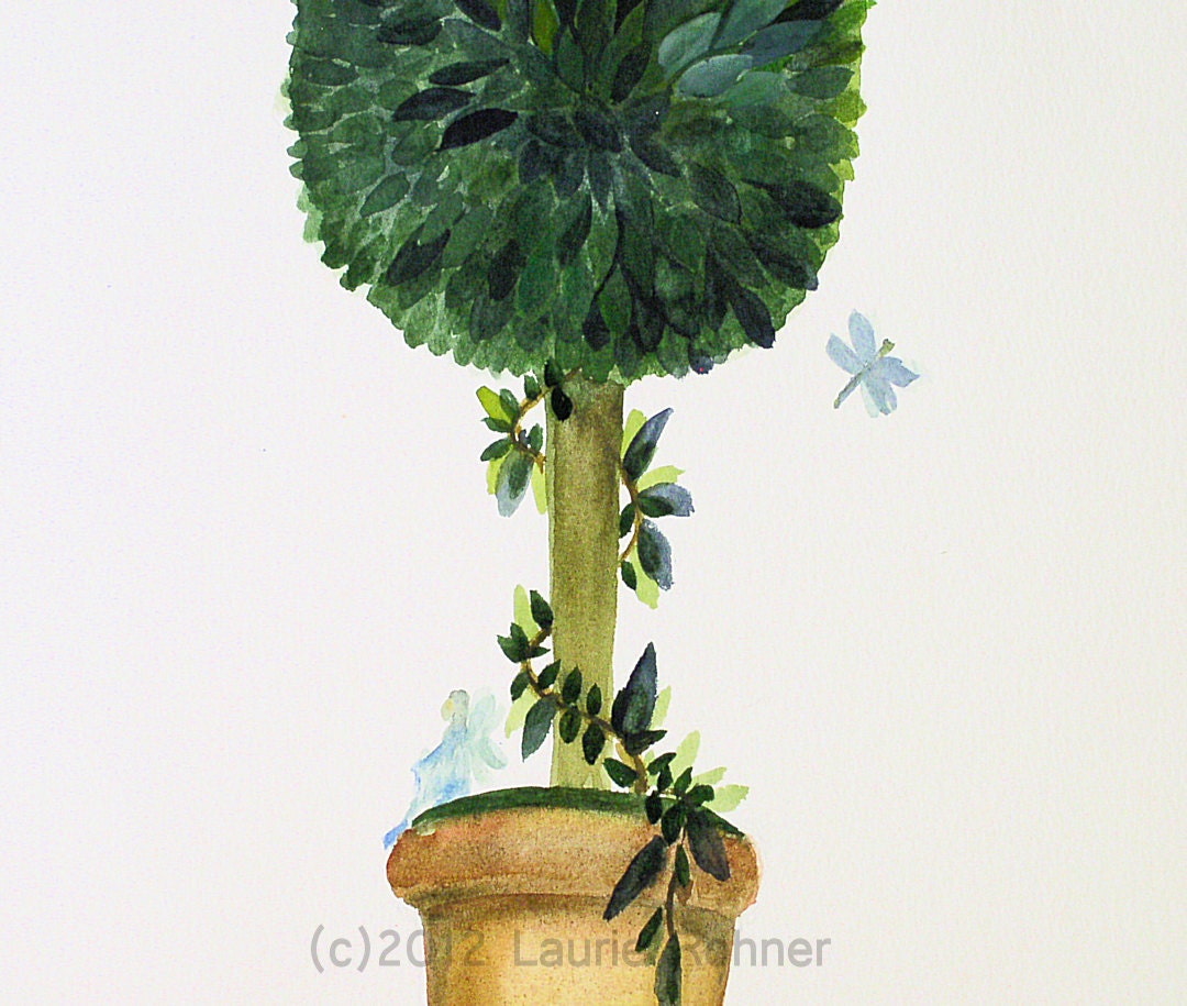 Dragonfly fairy and a garden topiary complete this&nbsp;picture.