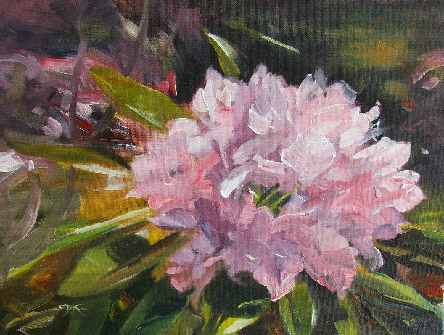 Original Oil Painting -  Susan Kennedy - Rhododendron in Sun - "Deep in its Roots"