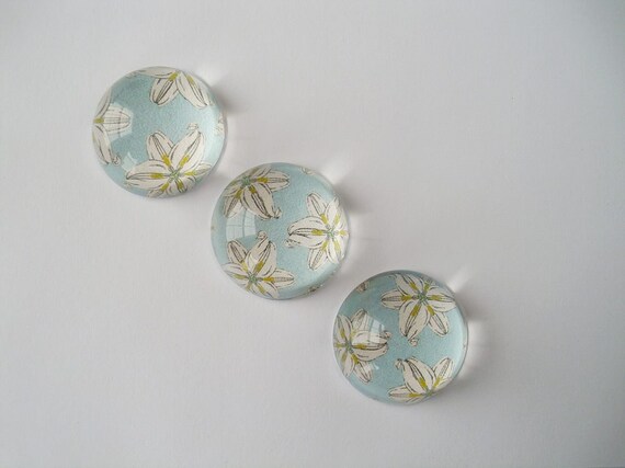 Spring Flower Magnets, Fridge Magnets, Floral Magnet Gift Set, Vintage Flower Magnets, Acrylic Bubble Magnets - Teacher Gifts