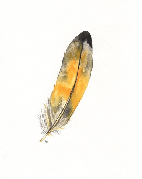 Yellow Macaw feather / Black, Yellow, Grey  Watercolor Print