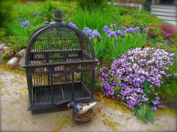  Antique Birdcages Wooden Wood Bird cages Wedding Card Box