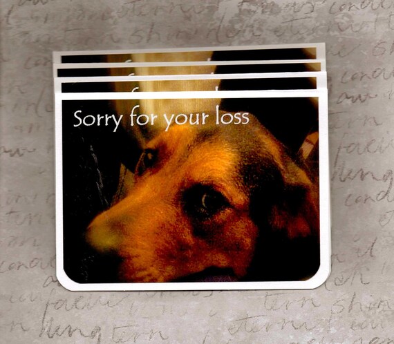 Sympathy Dog Handmade Greeting Card-Sorry for your loss-Set of 4