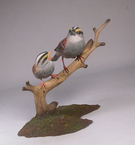         Songbird