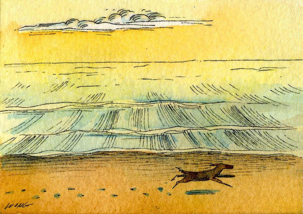 Run Along the Beach