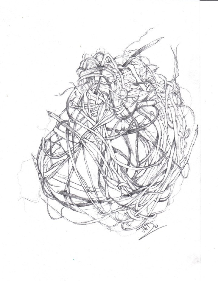 Weavers Nest