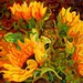 Abstract Fine Art Print - Four Sunflowers - 11 x 14