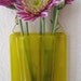 Glass Pocket Vase