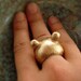 The Golden Teddy Ring - I'm All Ears Series