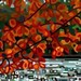 Abstract Fine Art Print - Maple Lake