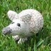 PDF - Armando the Armadillo Amigurumi Crochet Pattern