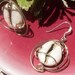 Royal Cowrie Shell Earrings in Sterling Silver