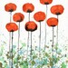 Jump Up -- Orange Flowers -- Giclee Print of an Original Watercolor Flower Painting 8x10