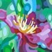 ACEO Magnet -Summer Flowers 2