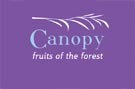 The Fibre Company Canopy Fingering - Chiclet Tree