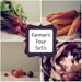 Simple Vegetable Collection 4 - 5x5 prints