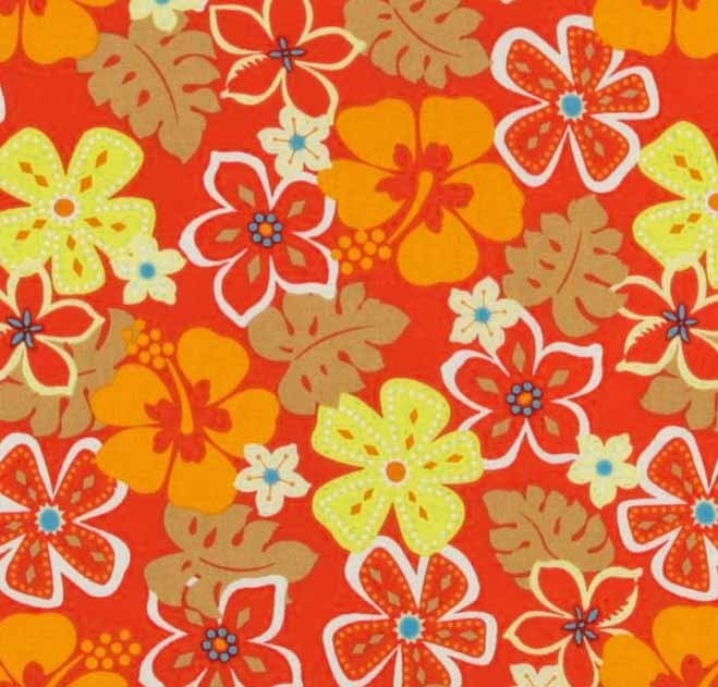 Surfin' Monkeys Surf Boards Yellow Orange