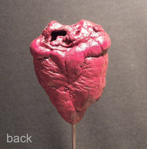 RAM'S HEART UNDER GLASS real natural history display for Victorian cabinet of curiosities or Valentine's day gift