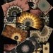 Huntington Collection Domino-size Digital Collage Download Images $2.99