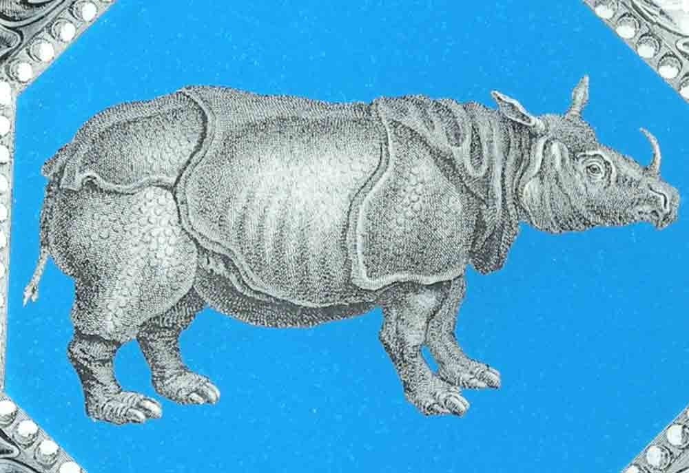 Blue Rhino Plate